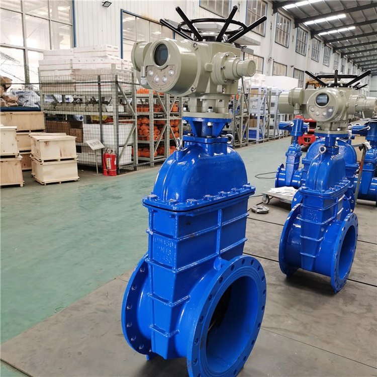 電動閘閥Z941h -64 DN500（石化行業、煉油廠、化工廠）