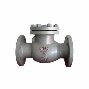 DN50 PN25 介質：甲胺，溫度：80℃止回閥