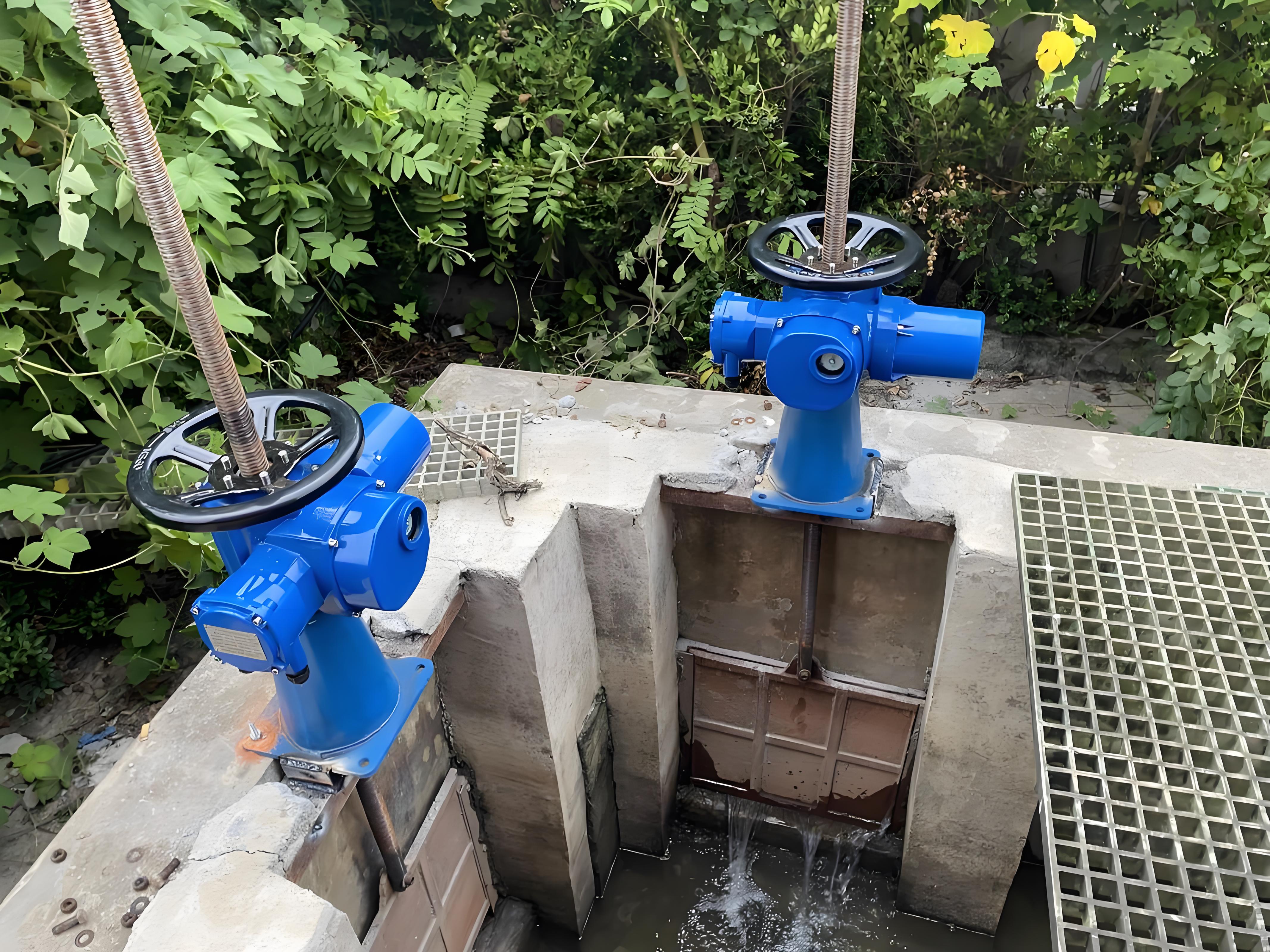 污泥電動(dòng)插板閥